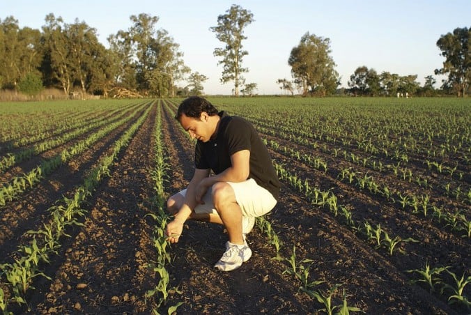 Rethinking Employee Pay In Agriculture